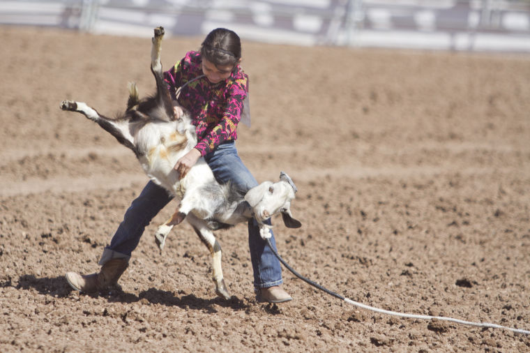 La Fiesta de los Vaqueros 2014